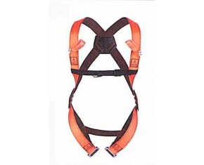 TWO-POINTED HARNESS