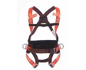 FOUR POINTED HARNESS