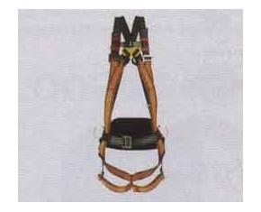 HARNESS WITH DORSAL ATTACHMENT